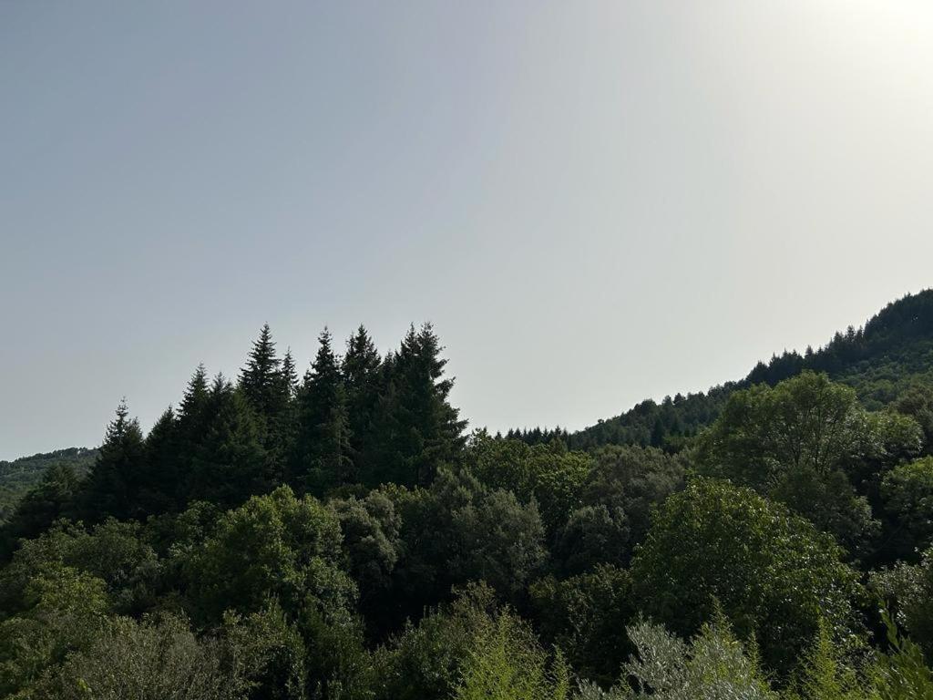 Mas Le Canton Saint-Jean-du-Gard Kültér fotó